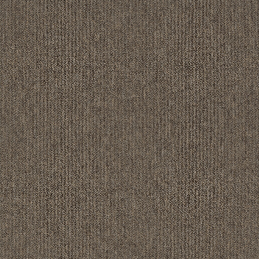 Alpha beige 823