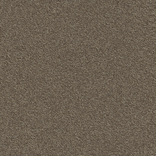 Millennium Camel 140