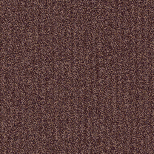 Millennium Lichtbruin 323