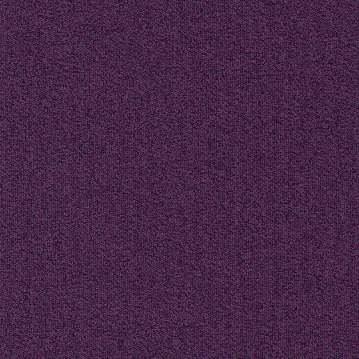 Millennium Violet 411