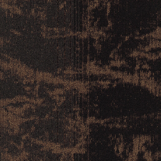 Dawn Bright Bruin 82B