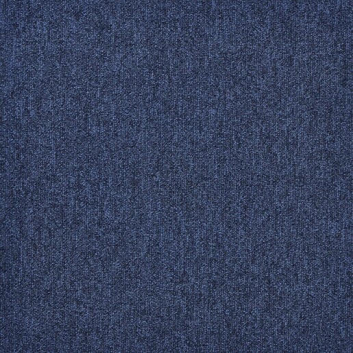 First Forward Blauw 504