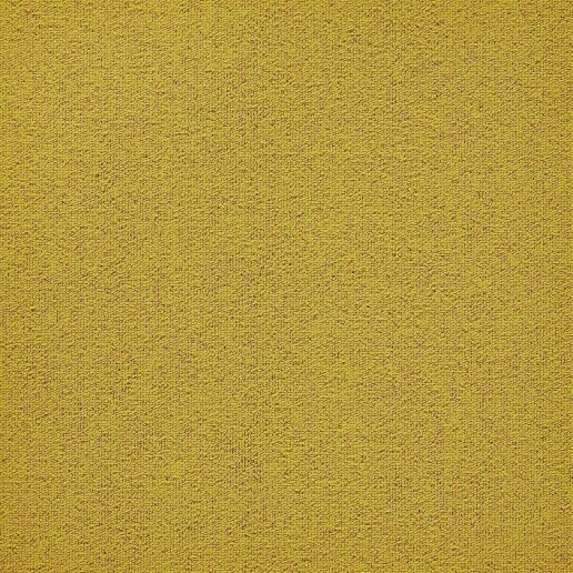 First Forward Geel 210