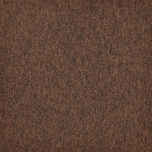 First Forward Oranjebruin 283