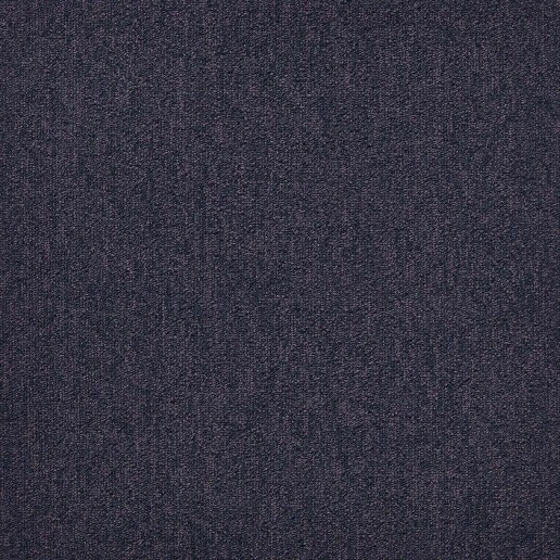 First Forward Paars 543