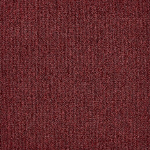 First Forward Rood 329