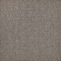 First Forward Zand 140