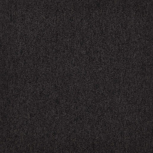 First Forward Zwartbruin 826