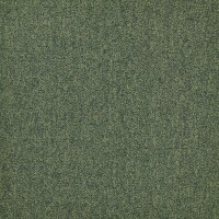 First Forward Appelgroen 625