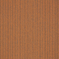 First Streamline Oranje 306