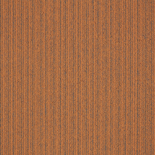 First Streamline Oranje 306