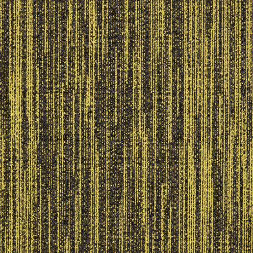 First Decode Geel 210