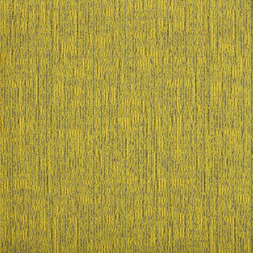 DSGN Absolute Geel 204