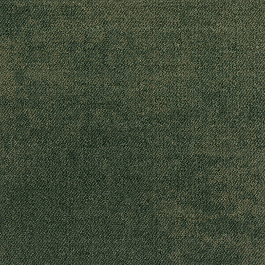 Haze Groen 604 LP