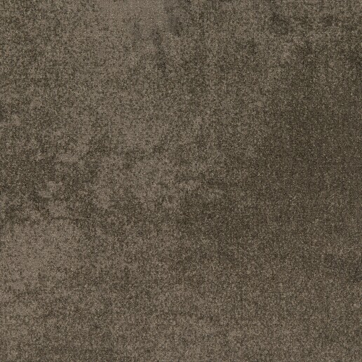 Haze Taupegrijs 850 CP