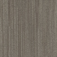 In-Groove Beige 181