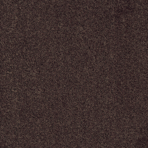 Gleam Koper 306.jpg