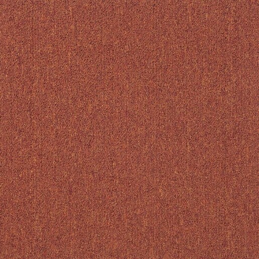 Arizona Oranje 306.jpg