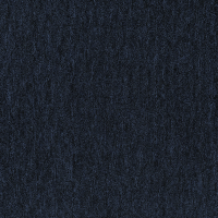 diva blauw.png