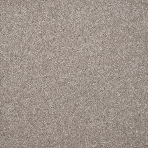 Aristo Camel 720.jpg