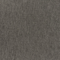 Sparkle 72 grijs.png