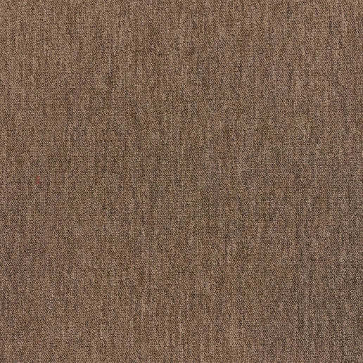 sparkle bruin 901.png