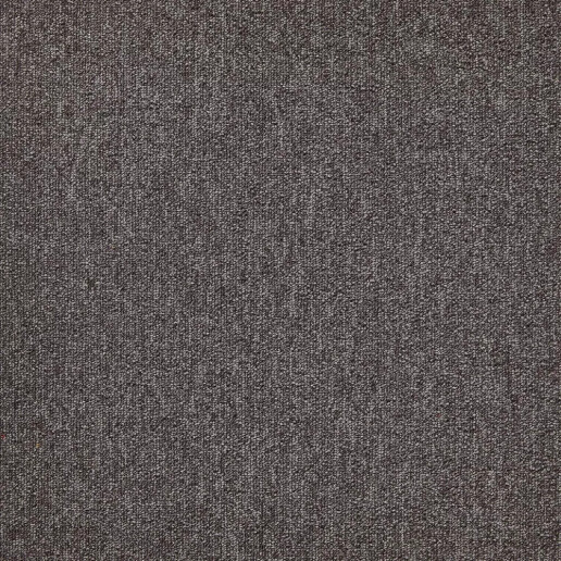 forward 810.jpg