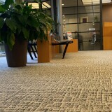 Graphic  Evolution grijs