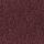 step paars rose 1.png