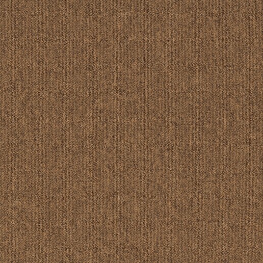Alpha beige 823-1.jpg
