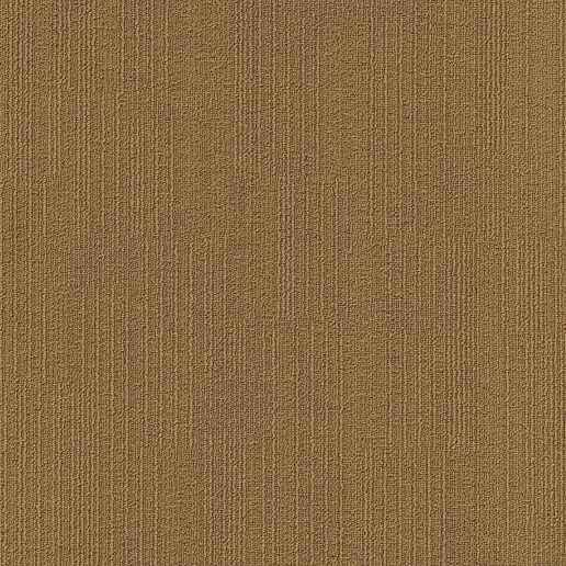 Fashion& Beige 191.jpg