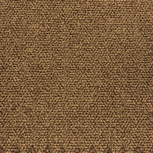 alba beige.png