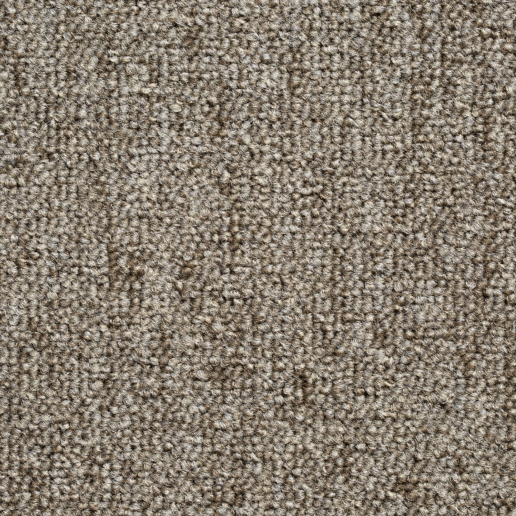 mustang-94 bruin.png