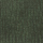Ray groen.png