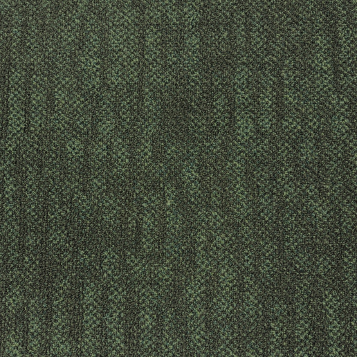 Ray groen.png