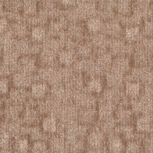 TRACE-356_A.jpg rose bruin.png