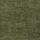 Dunie groen.png
